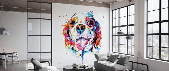 PHOTOWALL / Cavalier King Charles Spaniel (e329076)