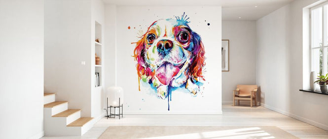 PHOTOWALL / Cavalier King Charles Spaniel (e329076)