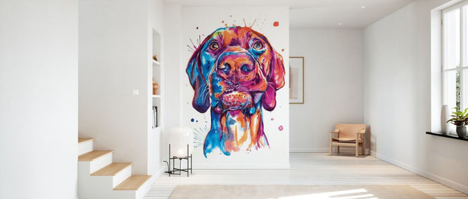 PHOTOWALL / Vizsla (e329077)