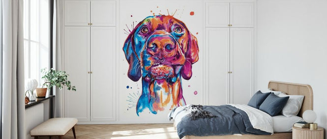 PHOTOWALL / Vizsla (e329077)