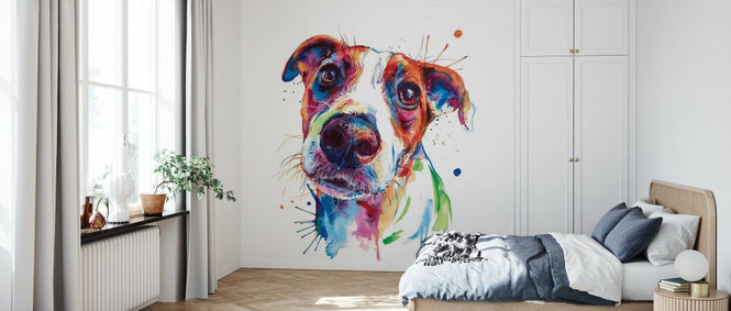 PHOTOWALL / Jack Russel (e329078)