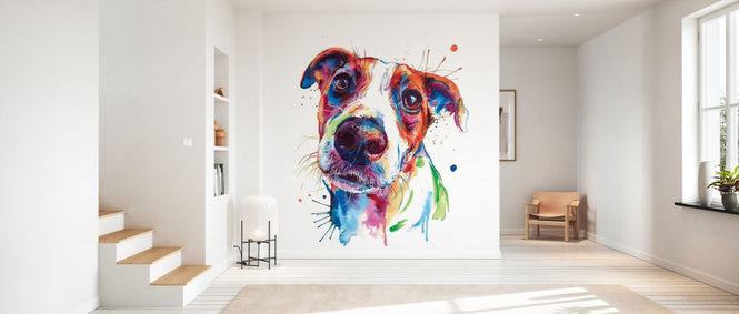 PHOTOWALL / Jack Russel (e329078)