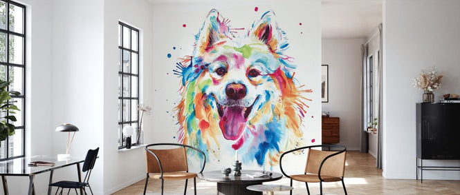 PHOTOWALL / Samoyed (e329079)