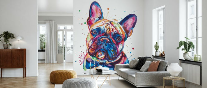 PHOTOWALL / Bowtie Frenchie (e329080)