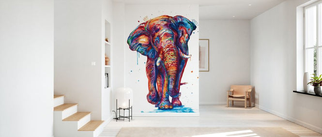 PHOTOWALL / Elephant (e329081)