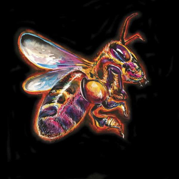 PHOTOWALL / Honey Bee (e329087)