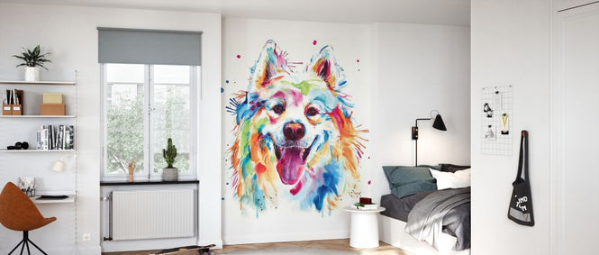 PHOTOWALL / Samoyed (e329089)