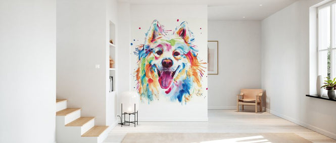 PHOTOWALL / Samoyed (e329089)