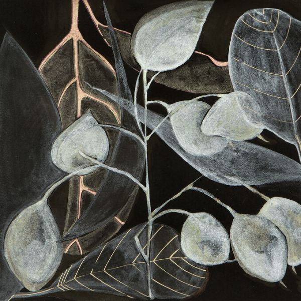 PHOTOWALL / Leaves in Light (e329123)