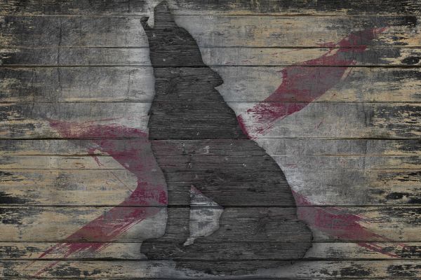 PHOTOWALL / Lone Wolf (e329461)