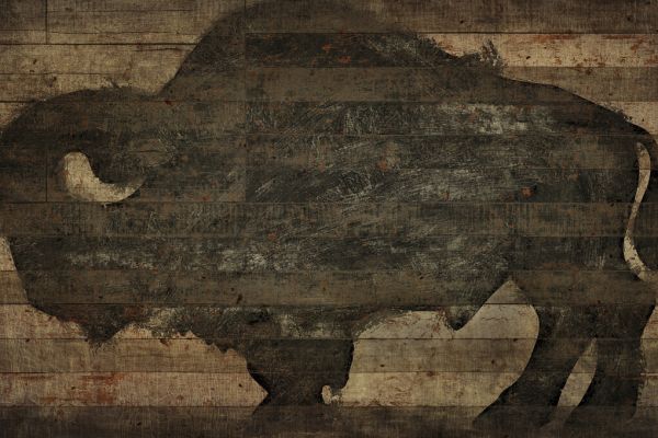 PHOTOWALL / Buffalo (e329465)