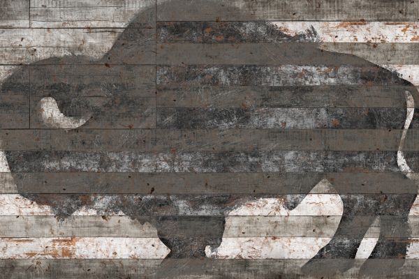 PHOTOWALL / Buffalo II (e329466)
