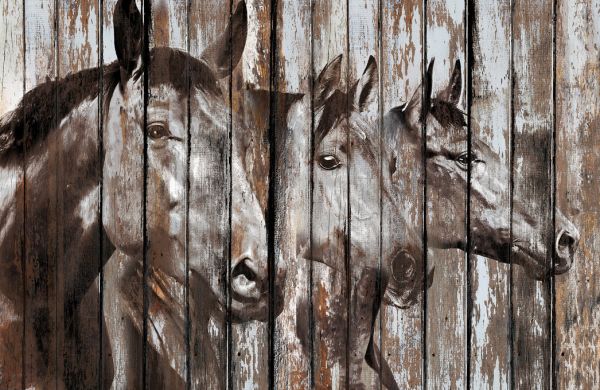 PHOTOWALL / Three Horses (e329498)