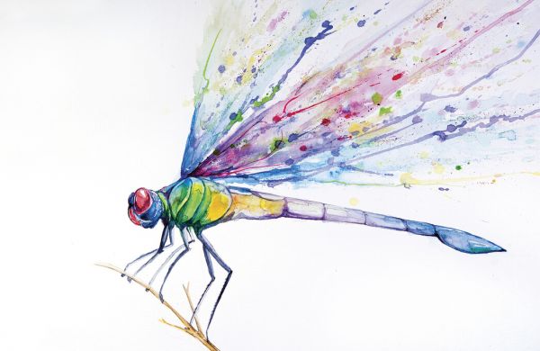 PHOTOWALL / Dragonfly (e329615)