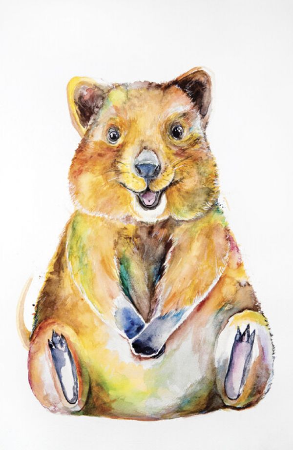 PHOTOWALL / Quokka (e329619)