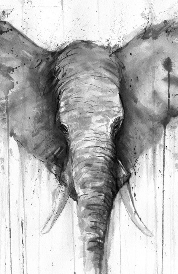 PHOTOWALL / Caeli - Bw (e329628) | 輸入壁紙専門店 WALPA – WALPA.jp