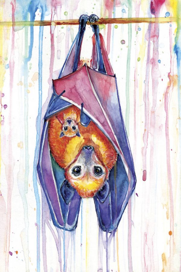 PHOTOWALL / Buncha Bats (e329649)