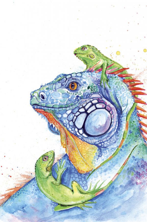 PHOTOWALL / Here be Dragons (e329657)