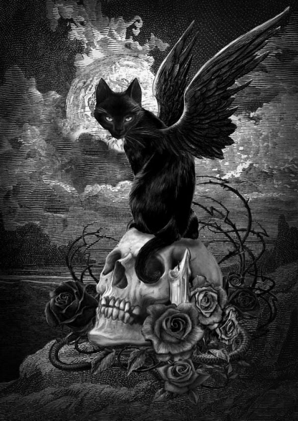 PHOTOWALL / Nine Lives of Poe (e330046)