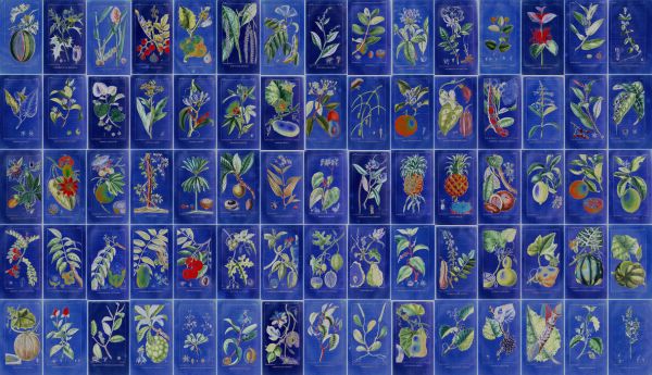 PHOTOWALL / Flavour Floralis (e329830)
