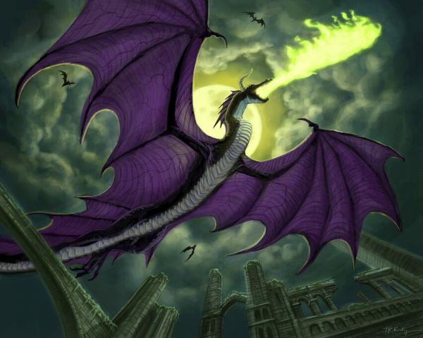 PHOTOWALL / Black Dragon Flying at Night (e330145)