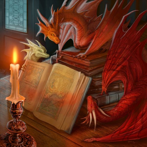 PHOTOWALL / Three Small Dragons around Books (e330173)