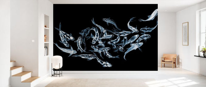 PHOTOWALL / Koi Fishes - Dark (e329996)