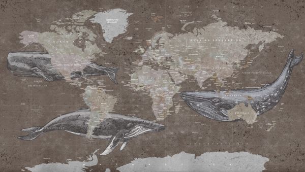 PHOTOWALL / Whale Map - Brown (e330017)