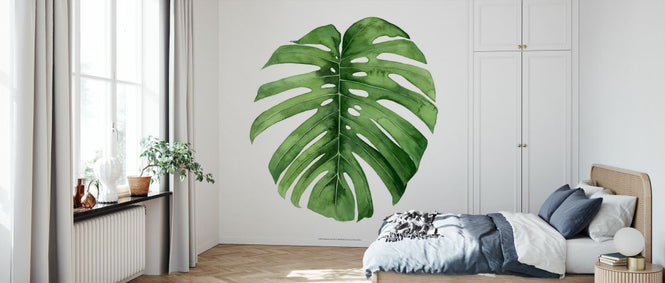 PHOTOWALL / Rainforest Jewel (e327472)