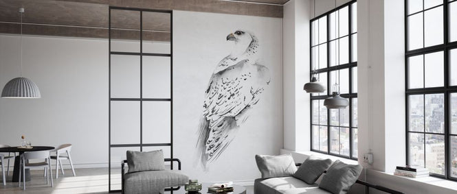 PHOTOWALL / Gyrfalcon (e327490)