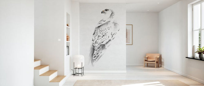 PHOTOWALL / Gyrfalcon (e327490)