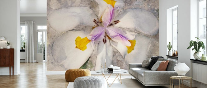 PHOTOWALL / Playful Petals (e327532)