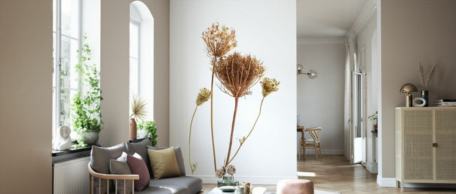 PHOTOWALL / Dried Bouquet II (e327570)