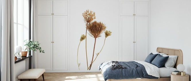 PHOTOWALL / Dried Bouquet II (e327570)