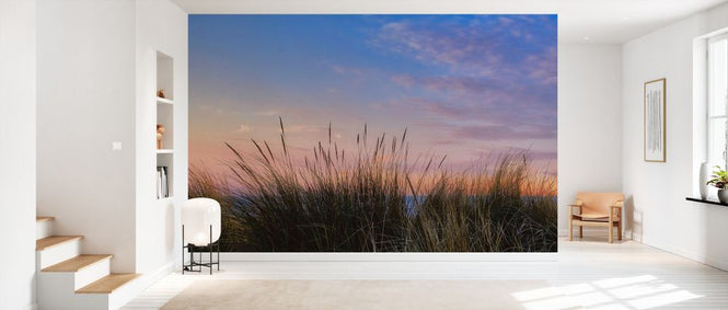 PHOTOWALL / Beach Grass (e330192)
