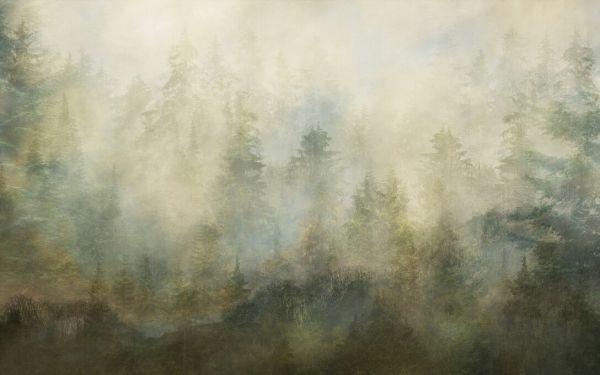 PHOTOWALL / Epic Pine Tree Landscape II (e330194)
