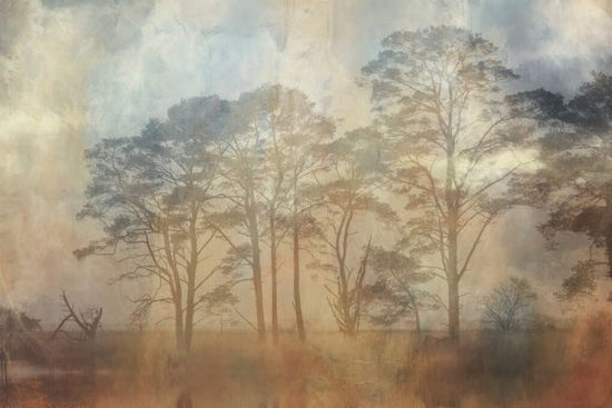 PHOTOWALL / Epic Tree Landscape (e330195)