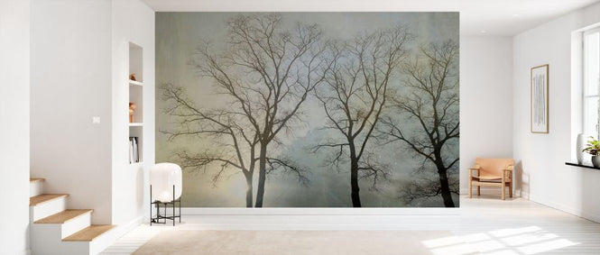 PHOTOWALL / Epic Tree Landscape IV (e330197)