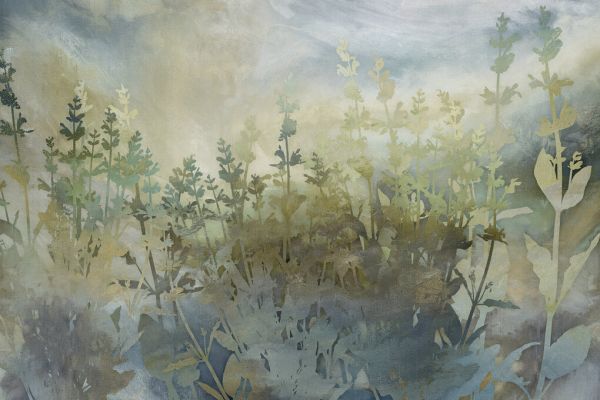 PHOTOWALL / Sage Field (e330210)
