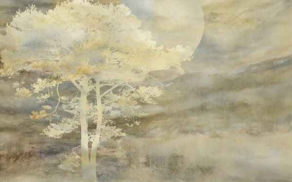 PHOTOWALL / Scots Pine in Moonlight (e330211)