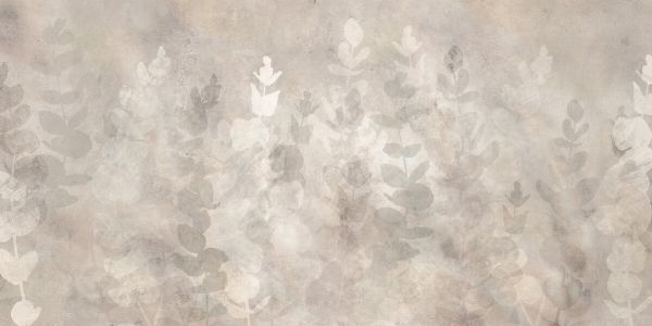 PHOTOWALL / Sunny Eucalyptus Shadows on Wall (e330216)