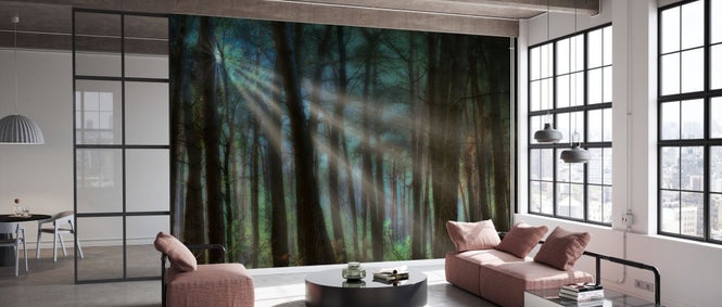 PHOTOWALL / Sunray Forrest (e330218)