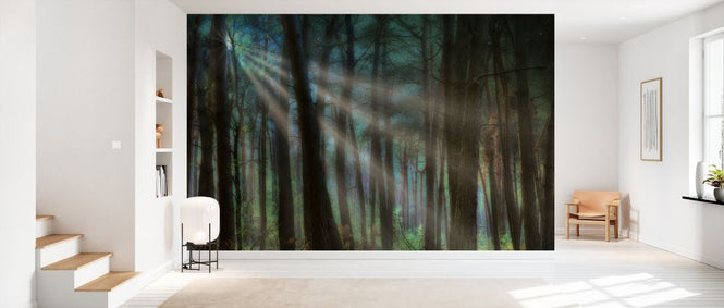 PHOTOWALL / Sunray Forrest (e330218)