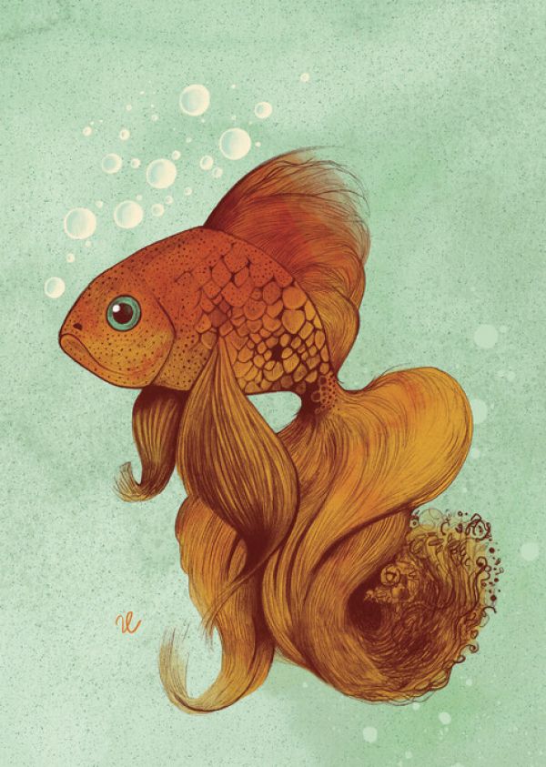 PHOTOWALL / Goldfish (e330075)