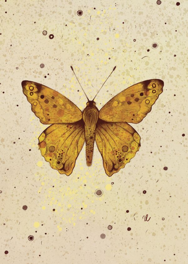 PHOTOWALL / Butterfly (e330082)