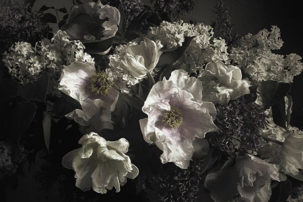 PHOTOWALL / Boho Arrangement (e330244)