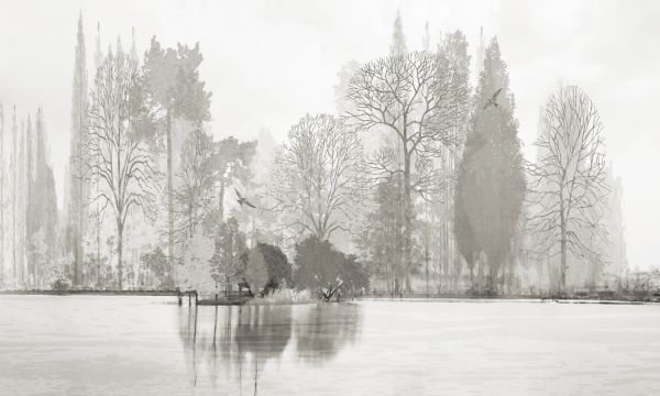 PHOTOWALL / Mise en Scène - Bw (e330283)