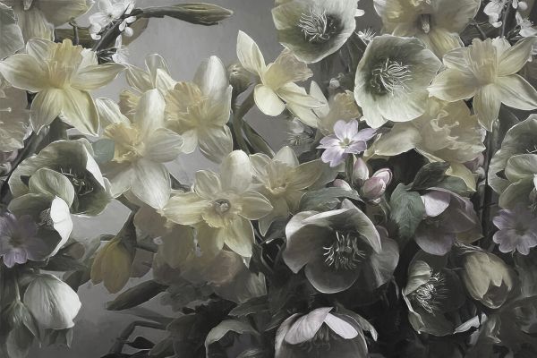 PHOTOWALL / Narcisus (e330286)