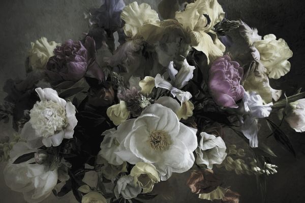 PHOTOWALL / Pions and Irises (e330287)