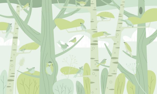 PHOTOWALL / Pip Pip Pip - Green (e330288)